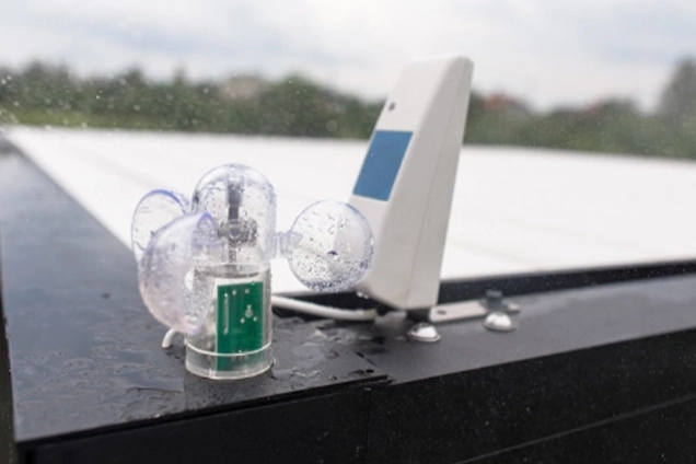 Tarasola's wind and rain sensor.